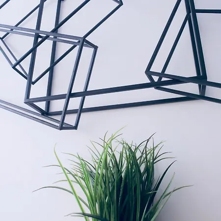 招待所 Golden Myra 马尔韦利亚